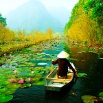 ‘in Yaban Hayatını İnceledik